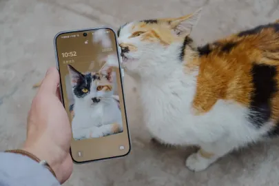 BetCart Casino Mobilna aplikacija